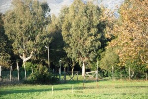Parco De Curtis