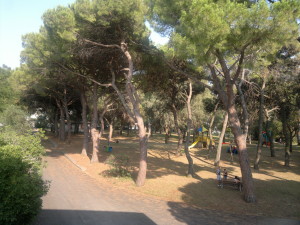 6 parco