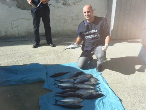 I tonni sequestrati dalla Guardia Costiera