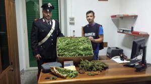 La droga sequestrata