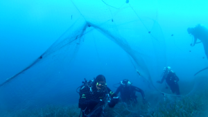 La rete recuperata dai sub