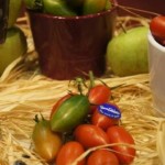 POMODORO - Il Torpedino