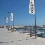 Stendardi dello YMF sulla via per Gammarth